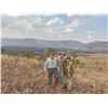 Image 3 : Thormahlen & Cochran Safaris - Experience the Ultimate African Safari Adventure!