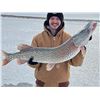 Image 1 : Cold Water Outfitters - North Dakota Ice & Spear Fishing Adventure – 3 Days for 2 Anglers