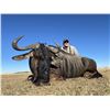 Image 3 : 8 Days in South Africa with Africa Maximum Safaris