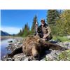 Image 1 : Alaska’s Greatland Outfitters - 10 Day Brown Bear Hunt