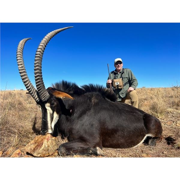 Shingalana Safari’s 4 Days 1 hunter Sable Hunt NW Province of South Africa