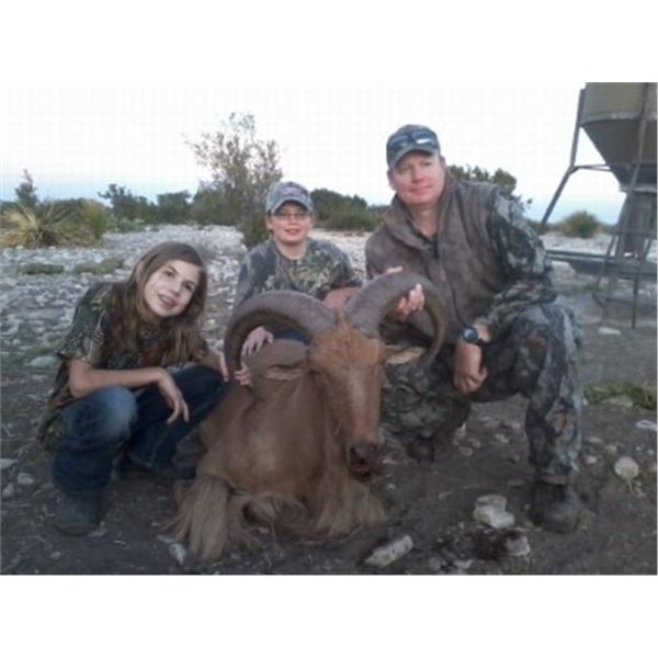 Aoudad Hunt in Texas with Trash Rack Ranch for 1 Hunter