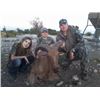 Image 1 : Aoudad Hunt in Texas with Trash Rack Ranch for 1 Hunter