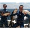 Image 1 : Blue Marlin Expedition: 3-Day Inshore/Offshore Spearfishing Camp for 2 Divers & 2 Observers