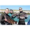 Image 2 : Blue Marlin Expedition: 3-Day Inshore/Offshore Spearfishing Camp for 2 Divers & 2 Observers
