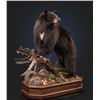 Image 1 : Kanati Taxidermy Lifesize Taxidermy Mount