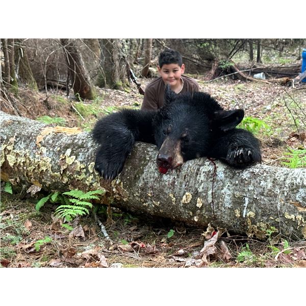 Youth Black Bear Hunt in Maine with Grand Lake Hunt
