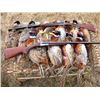 Image 1 : Clover Hollow Hunting Preserve - 1/2 Day Pheasant Hunt at Clover Hollow Farms for 1 to 4 people