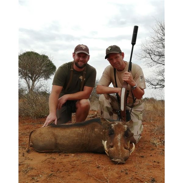 Syncerus Safaris - Nocturnal Predator Hunt in Limpopo, South Africa