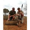 Image 1 : Syncerus Safaris - Nocturnal Predator Hunt in Limpopo, South Africa