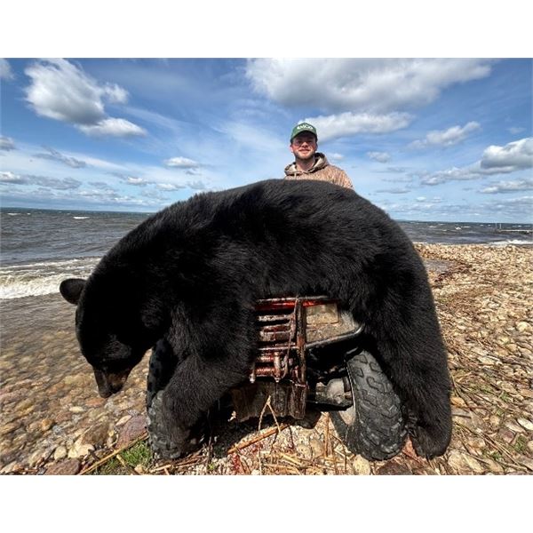 Alberta Black Bear hunt with McKinnon & Co.