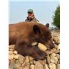 Image 2 : Alberta Black Bear hunt with McKinnon & Co.