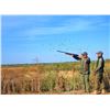 Image 1 : Ultimate Argentina Dove Hunt for Four – Pointer Wingshooting