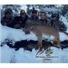 Image 1 : Mountain Lion Hunt in New Mexico-for 1 hunter