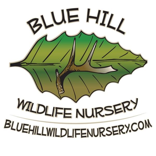 Premium Wildlife Fruit Trees from Blue Hill Wildlife Nursery