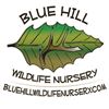Image 1 : Premium Wildlife Fruit Trees from Blue Hill Wildlife Nursery
