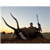 Image 2 : Restless Africa Safaris - South African Hunt for 2 Hunters 7-day