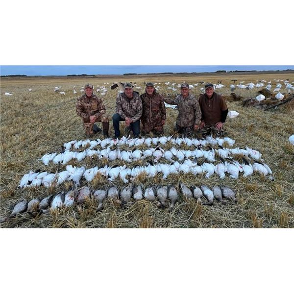 Prairie Rose Outfitters - Spring Snow Goose Hunt