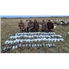 Image 1 : Prairie Rose Outfitters - Spring Snow Goose Hunt