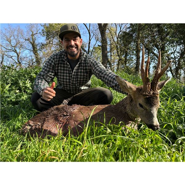 Premium Roe Deer Hunting Experience in Spain