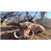 Image 2 : Avula Safaris - 5-Day South Africa Safari for 2 Rifle Hunters