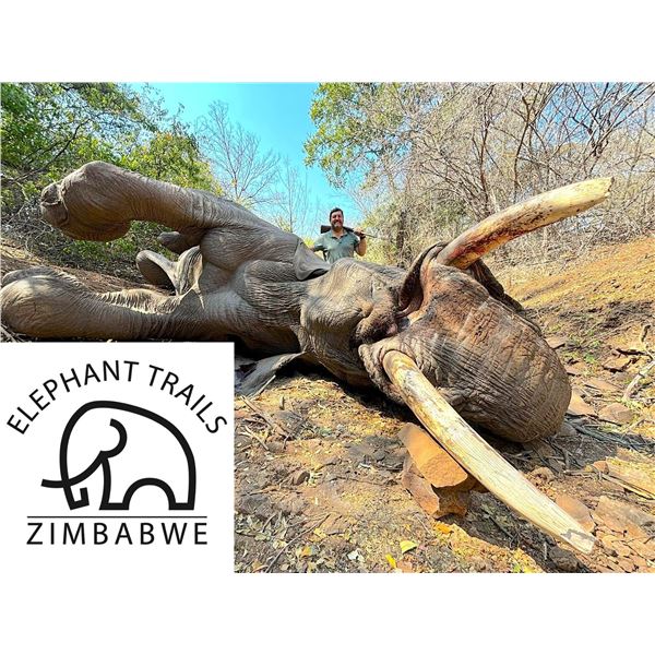 Elephant Trails Safaris