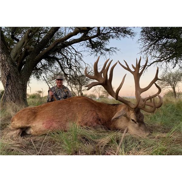 Pointer Outfitters Argentina Red Stag Hunt for 2