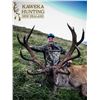 Image 1 : 5-Day/4-Night New Zealand Red Stag Hunt for Two with Kaweka Hunting