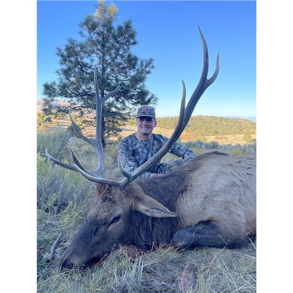 Exclusive Elk Rifle Hunt in New Mexico – 5 Days for 2 Hunters