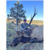 Image 1 : Exclusive Elk Rifle Hunt in New Mexico – 5 Days for 2 Hunters