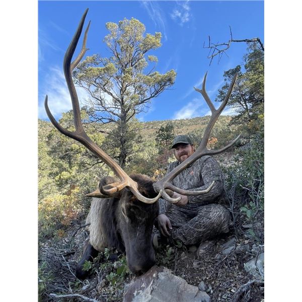 New Mexico Elk Archery Hunt