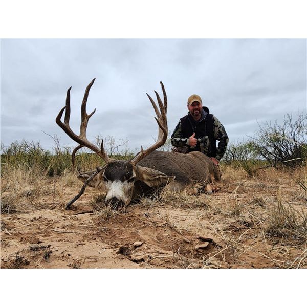 Trophy Mule Deer Hunt in New Mexico – Donated by Vincent Vigil
