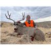 Image 2 : Trophy Mule Deer Hunt in New Mexico – Donated by Vincent Vigil