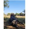 Image 2 : Kemp African Safaris – Private Nyala Hunt in South Africa