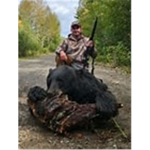 Maine Black Bear Hunt at Crooked Tree Lodge