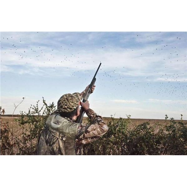 LA09 – Argentina - Estancia La Criolla – Dove Shooting (In House Auction Item Only