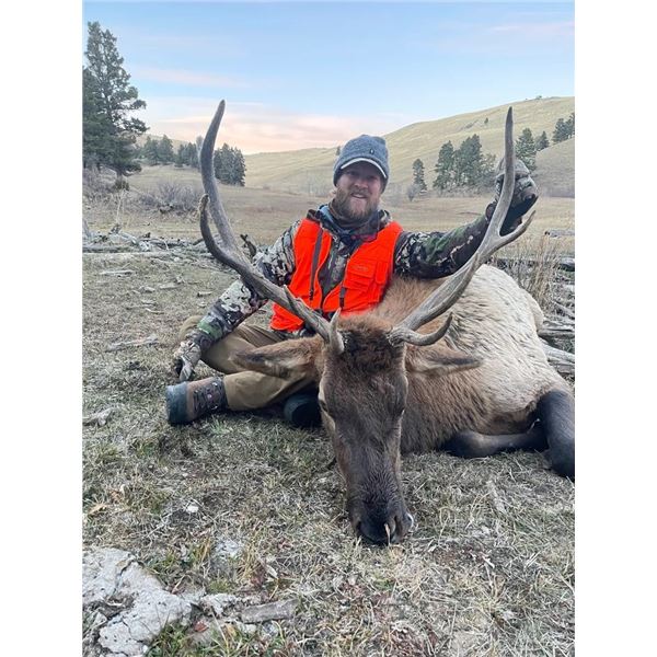 LA18– Montana – Montana Outfitters – Bull Elk