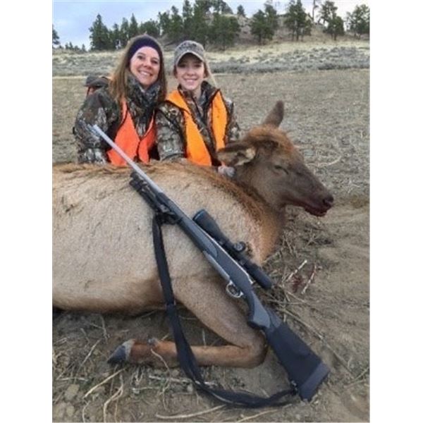 LA20 – Montana – 20 Pines Ranch – Cow Elk for 1 Hunter