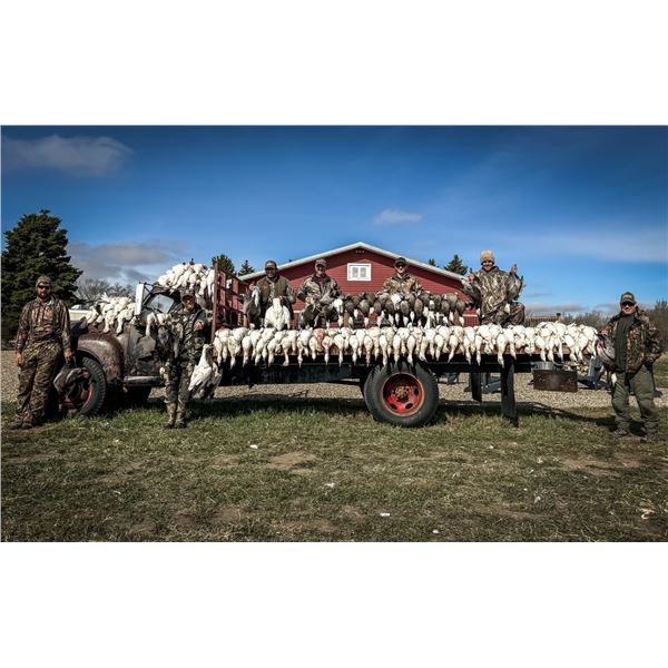LA33 - Saskatchewan- Apex Waterfowling- Spring Snow Goose Hunt