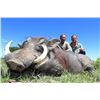 Image 2 : LA37 - Namibia - Jan Oelofse Hunting Safaris – 6 Animals