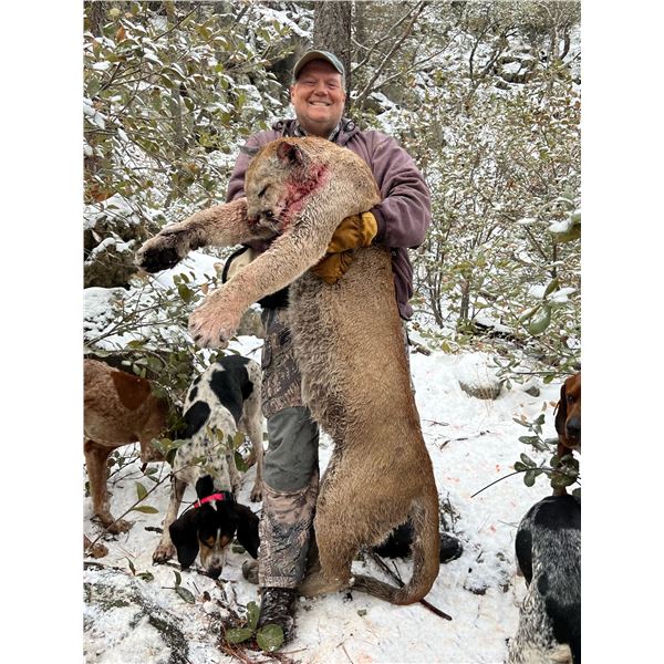 LA39 – Arizona - 5-Day Trophy Mountain lion with Diamond Outfitters
