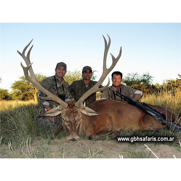 LA41– Argentina – GBH Safaris – 2 Hunters – 2 Red Stags