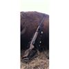 Image 1 : LA46 - Terry Ehrhardt Custom Built Rifle