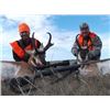 Image 1 : LA48 – Montana Outfitting Company – Antelope Hunt 2 Hunters