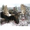 Image 2 : Archery Moose Hunt with Savage Encounters