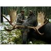 Image 3 : Archery Moose Hunt with Savage Encounters