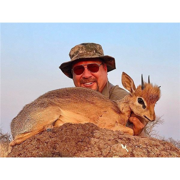 Damara Dik-Dik and Eland-start your Pursuit of the Tiny Ten