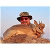Image 1 : Damara Dik-Dik and Eland-start your Pursuit of the Tiny Ten