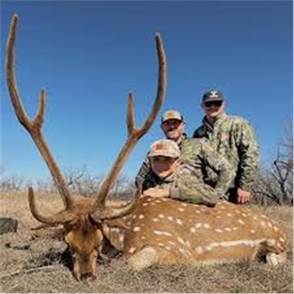 West Texas - Free-Range Axis Buck