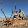 Image 1 : West Texas - Free-Range Axis Buck